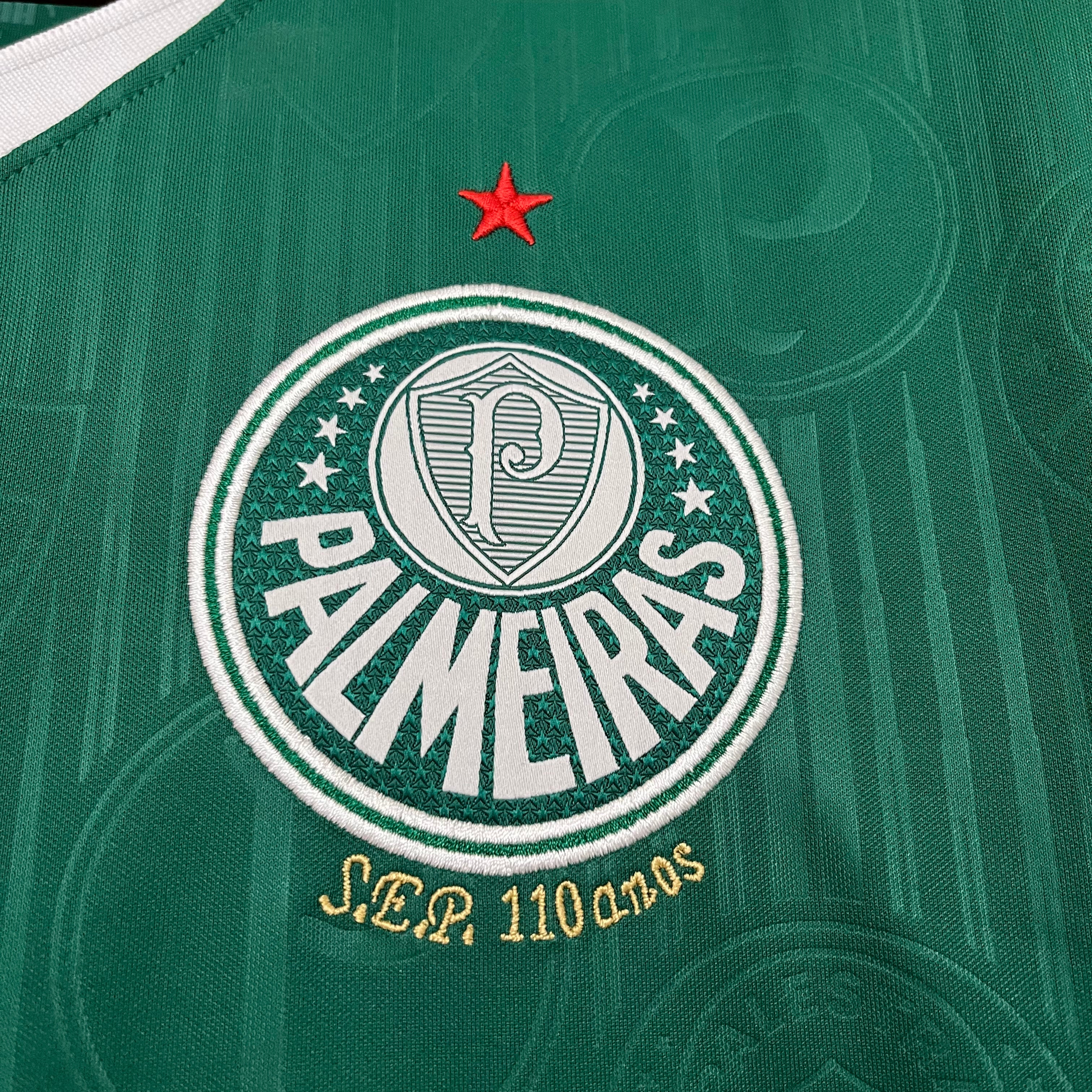 PALMEIRAS HOME 24/25