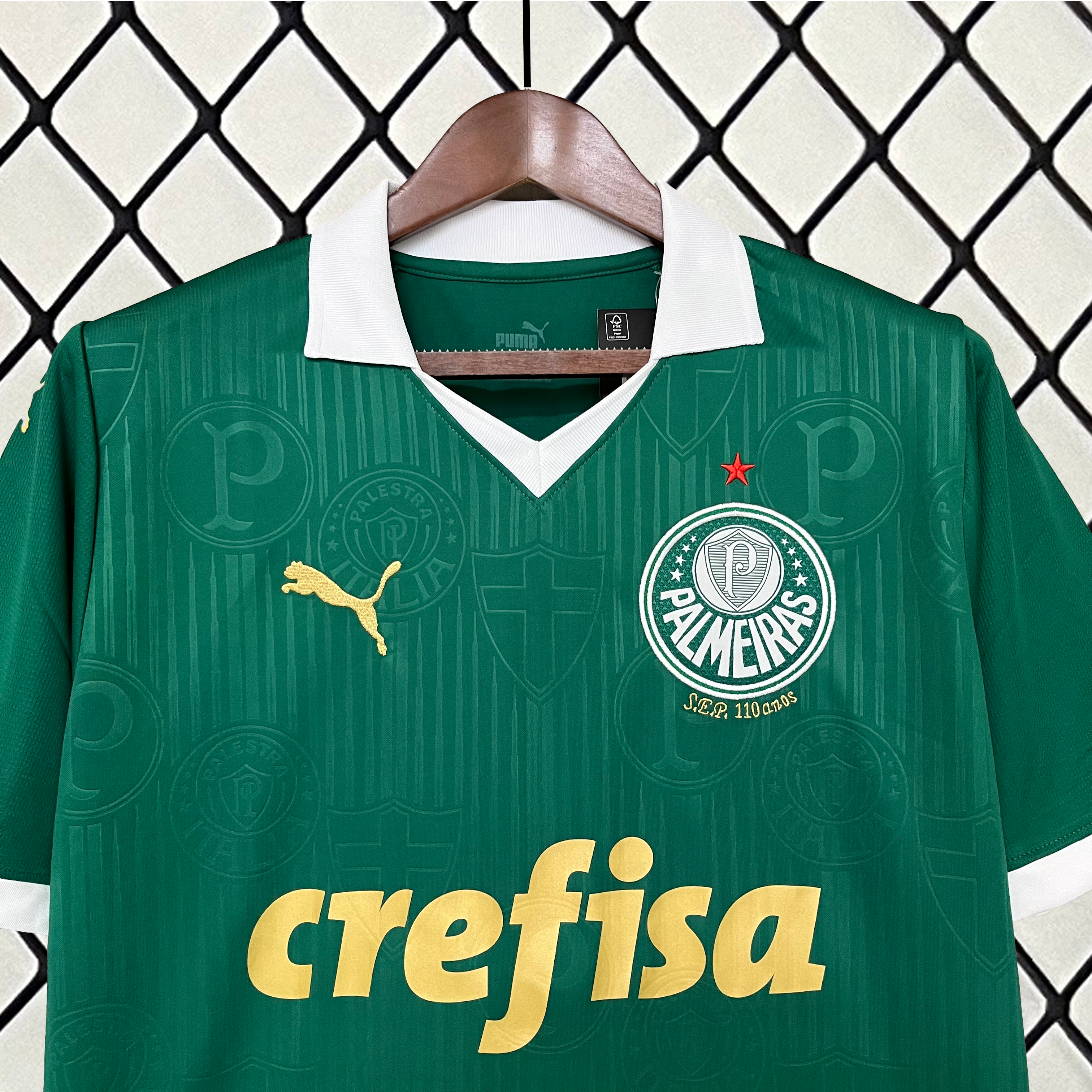 PALMEIRAS HOME 24/25